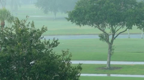 Spring Rain 01 (1080p 29.97) Stock Footage 50083478
