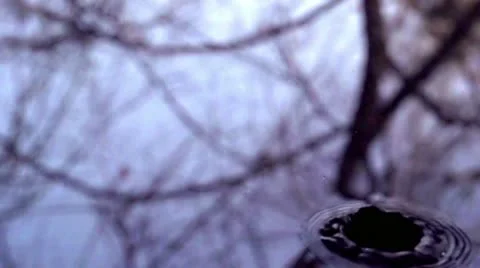 Spring Rain Drops Stock Footage 22146488