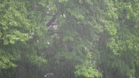 Spring rain Stock Footage 269964