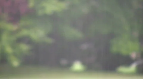Spring rain Stock Footage 269977