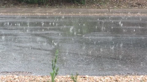 Spring rain Stock Footage 168914492