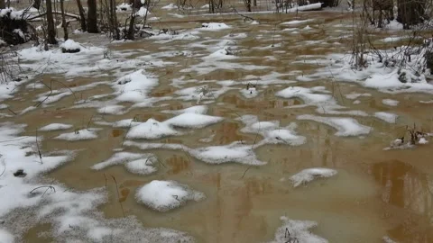 Spring with rain, ice, snow and water in swampy forest Stock Footage 292660352
