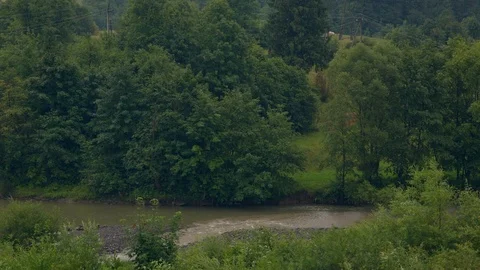 Spring rain in the mountains. Beautiful river in forest nature. Mountain river Stock Footage 114759889
