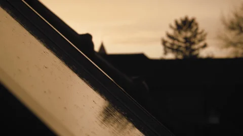 Spring rain pouring lighty on window in sunset golden hour slow motion 4k Stock Footage 303850232
