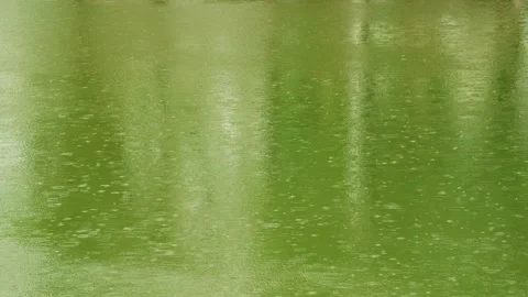 Spring rain, rippling raindrops on the lake Stock Footage 257529372