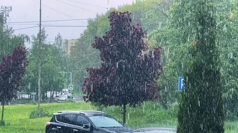 Spring rain on the streets of the city. Large drops of rain fall. Stock Footage 315514652