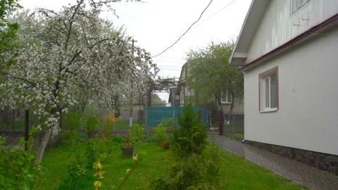 Spring rain in the yard Stock Footage 144392628