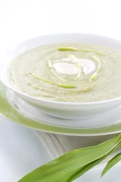 Spring ramson soup Foto stock