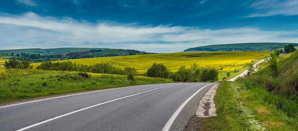 Spring rapeseed yellow blooming fields Stock Photos