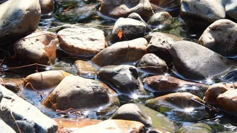 Spring rapid stream in sunlight with reflections Stock Footage 148530659