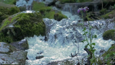 In spring, rapid streams flow in the mountains. In spring, snow melts in Stock Footage 225080621
