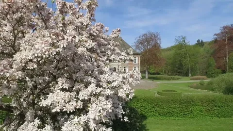 Spring realestate Stock Footage 100329508