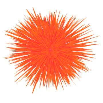 Spring Red Flower on White Backround Stock Illustration
