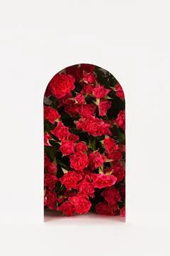 Spring red flowers - roses as rounded arch in perspective niche on abstract w Stock Illustration
