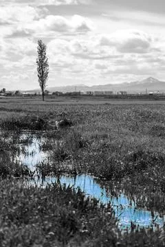 Spring Reflection in Blue amidst a Black and White Landscape - Erzurum Plain Stock Photos