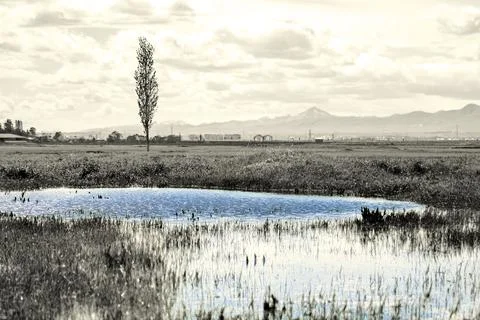 Spring Reflection with Blue Waters in Monochrome - Erzurum Plain Foto stock