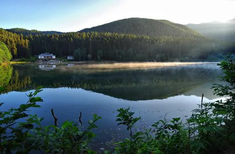 Spring. The reflection of the sun and trees in the lake at Savsat Karagol. Stock Photos