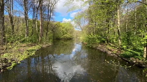 Spring Reflections on Calm Pond in Amsterdam Forest Netherlands 库存影片 334150071