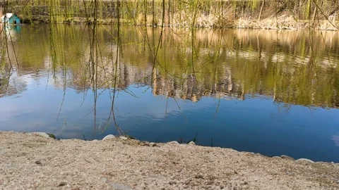 Spring reflections in the lake Stock Footage 236976000