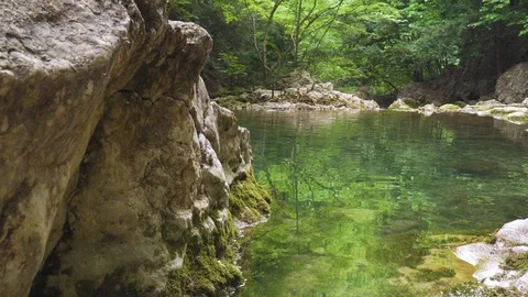 Spring rill flow and pond into the forest. 库存影片 118797991