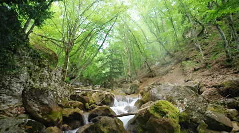 Spring rill flow into canyon. Stock Footage 47957197