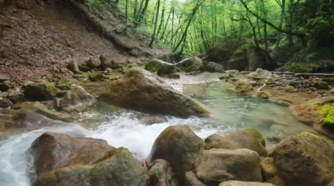 Spring rill flow Vidéo 48054308