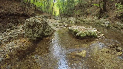 Spring rill flow in mountain 動画素材 70309739