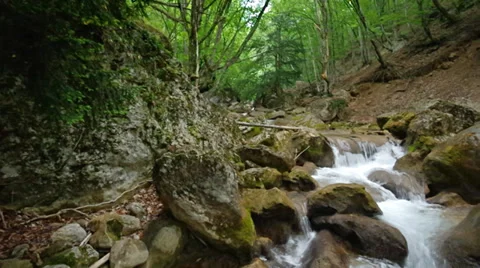 Spring rill. 库存影片 37107906