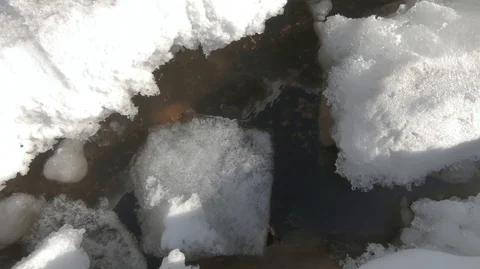 Spring on the river-8 Stock Footage 125233330