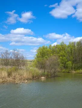 The spring river and the forest are behind us. Blue sky and clouds. Grass on Foto stock