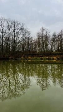 Spring river bank with trees without leaves. Landscape on the Oder River, P.. Stock Photos