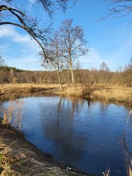 Spring River with Bare Trees Reflection Stock Photos