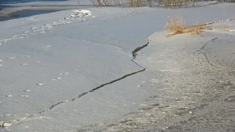 Spring, river, bridge and ice drift Stock Footage 150614076