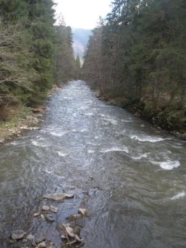 The spring river in the Carpathian Mountains Stock Photos