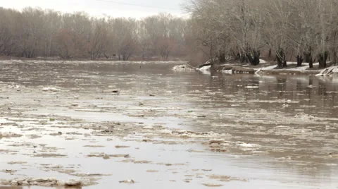 Spring river with dirty brown water and ice. floating of ice Stock Footage 65286100