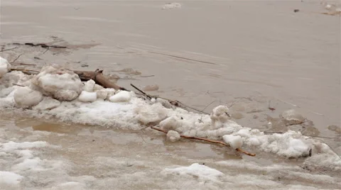 Spring river with dirty brown water and ice. floating of ice Video stock 65286134