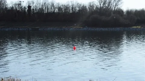 Spring. river. first midges above water Video stock 150056610