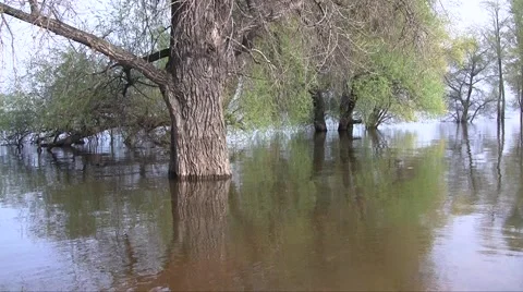 Spring river flood Stock Footage 945229