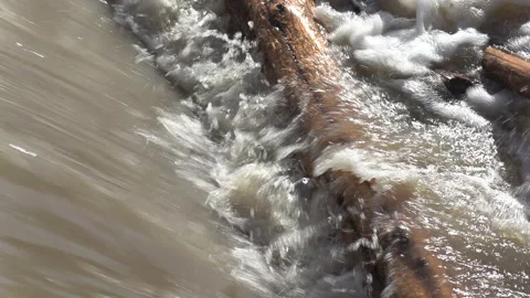 Spring river flooding during record warm temperatures in Ontario Canada Stockbeeldmateriaal 150285531