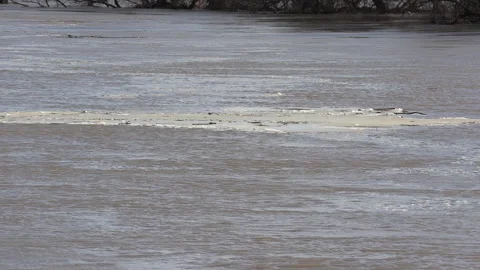 Spring river flooding during record warm temperatures in Ontario Canada 스톡 동영상 150289888