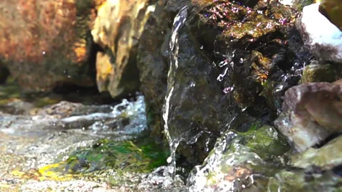 Spring river flowing between the mossy rocks. Stock Footage 135168932