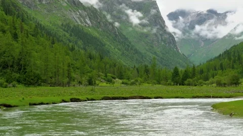 Spring River Flowing Gently Through a Misty Mountain Valley Video stock 341871421