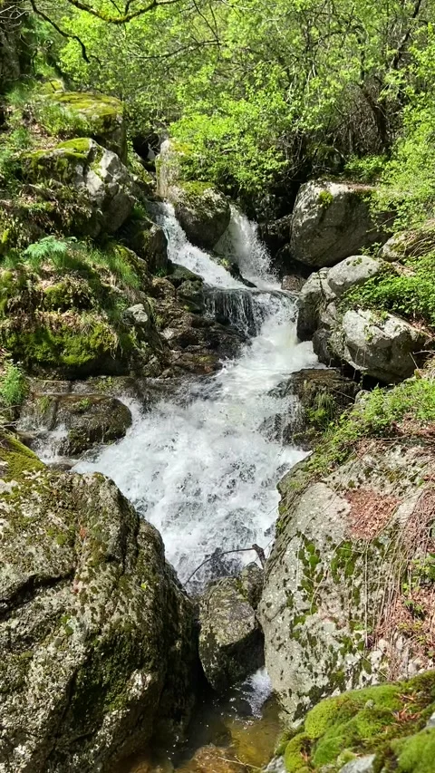Spring river flowing in Les Cévennes Stock-Footage 345361242