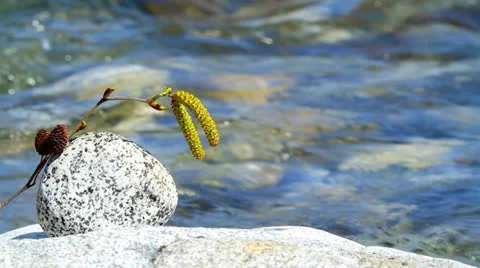 Spring river. Stock Footage 22498915