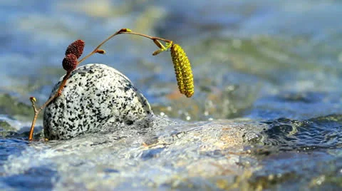 Spring river. Stock Footage 22498921