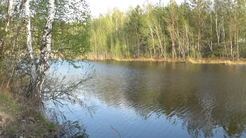 Spring on the river. Видео 89022516