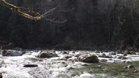 Spring River Vídeos de archivo 133745300