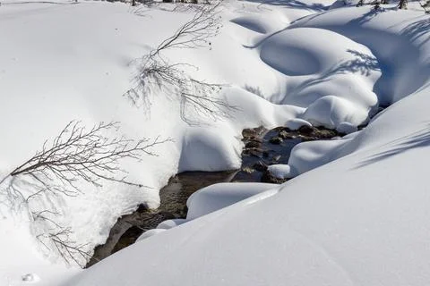 Spring river in the forest Stock Photos