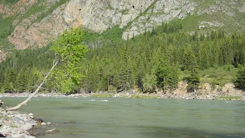 Spring River Katun, Altai Mountains, Siberia Russia Stock Footage 83017500