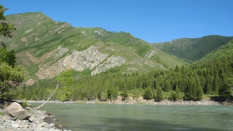 Spring River Katun, Altai Mountains, Siberia Russia Stock Footage 83018329